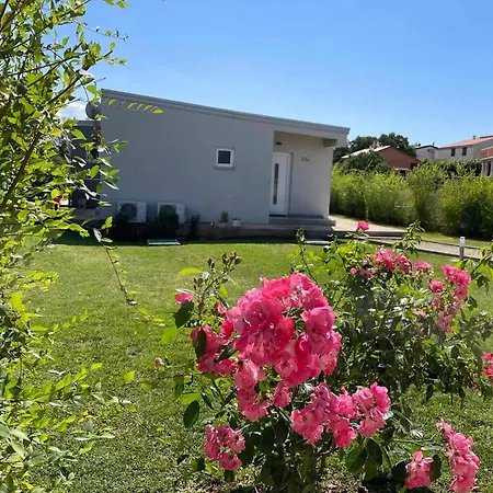 Vollstaendig Freistehende Designervilla Mit Infinity Pool Tatil Evi *