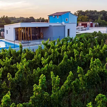 Vollstaendig Freistehende Designervilla Mit Infinity Pool Vikendica